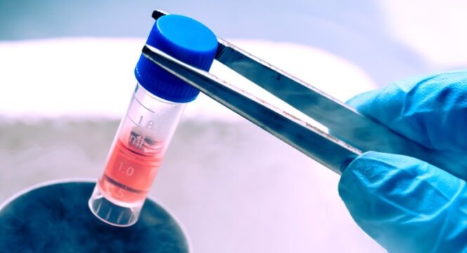 Image of lab equipment