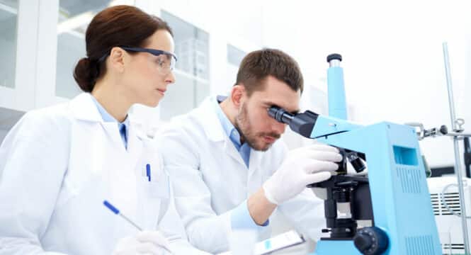 Study Finds Cord Blood Stem Cells Could Help Repair Brain Injury in Newborns