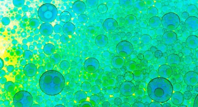 stem cell therapy